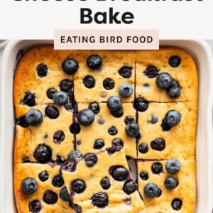 Overhead view of a blueberry cottage cheese breakfast bake cut into squares with one piece lifted on a spatula.