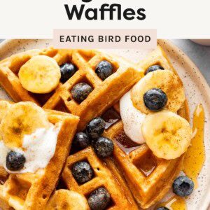 Plate of golden waffles topped with banana slices, blueberries, yogurt, and syrup.
