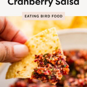 A close-up of a hand holding a tortilla chip loaded with a scoop of chunky cranberry salsa. The text overlay says "Delicious Cranberry Salsa" and "Perfect festive side dish!"
