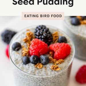 Glass of basil seed pudding topped with raspberries, blueberries, blackberries, and granola.