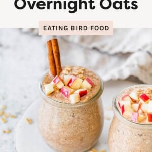 Two jars of apple cinnamon overnight oats topped with diced apples and cinnamon sticks on a white surface.