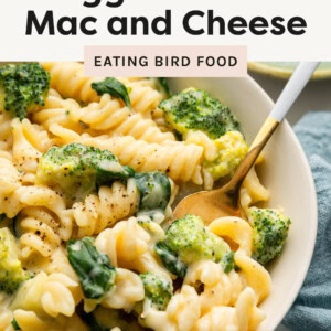 Photo of the healthy mac and cheese in a bowl served with a spoon.