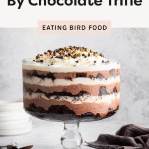 A clear glass trifle bowl displaying alternating layers of chocolate cake, chocolate mousse, and whipped cream, topped with chocolate chips and chopped nuts.