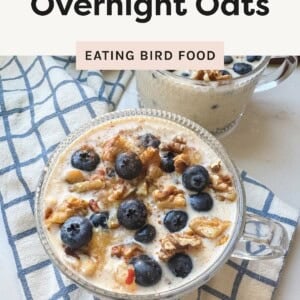 A glass mug filled with overnight oats, topped with fresh blueberries, walnuts, and a sprinkle of cinnamon, placed on a blue-and-white checkered cloth. Text above reads "Princess Diana’s Overnight Oats" and "Eating Bird Food," with a caption below stating "Packed with 20g of protein."