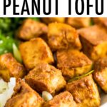 Bowl with kale topped with sesame seeds, crispy baked peanut tofu, and rice topped with scallions.