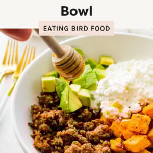 This image features a bowl with ground beef, diced avocado, roasted sweet potatoes, and cottage cheese.
