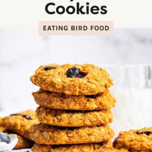 A stack of golden-brown sweet potato blueberry oatmeal cookies sits on a white surface, with a glass of milk in the background. The cookies have a slightly rough texture, with visible oats and bursts of deep blue from the blueberries. Scattered blueberries and additional cookies are placed around the stack, adding to the inviting homemade feel of the scene. The background is softly blurred, highlighting the cookies as the main focus.