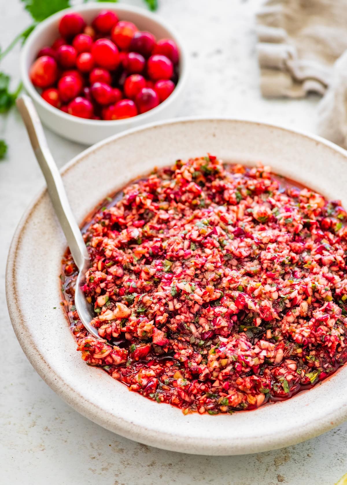 Spoonful of cranberry salsa in a serving bowl next to fresh cranberries.
