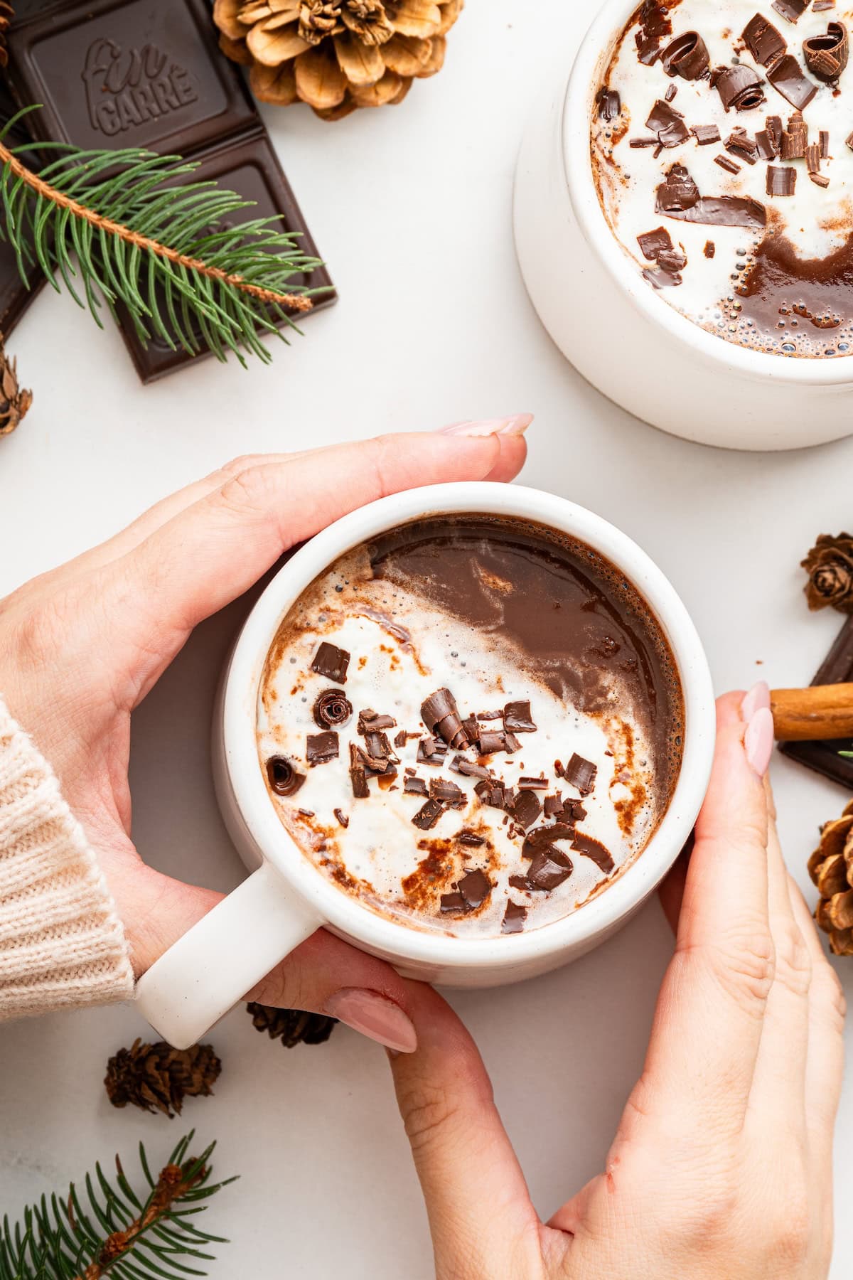 A woman's hands holding a white mug filled with hot chocolate that is topped with whip cream and shaved chocolate.