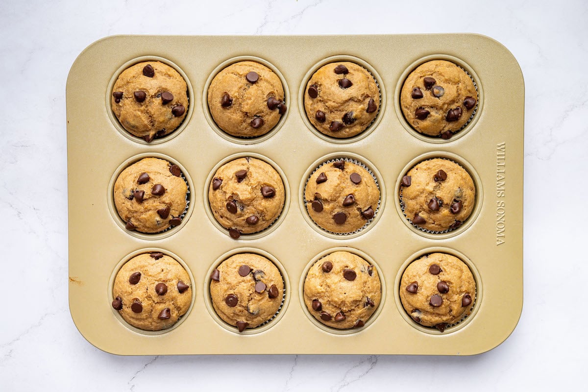 A muffin tin with freshly baked Kodiak cake muffins, golden brown with chocolate chips on top.