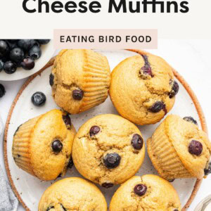 Plate of fluffy blueberry cottage cheese muffins with a bowl of fresh blueberries nearby.