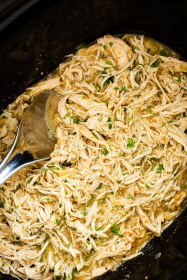 Shredded salsa verde chicken in a slow cooker with a silver serving spoon. Fresh cilantro is on top of the chicken.